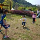 아리랑캠핑