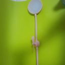 (주)아임커머스 이미지