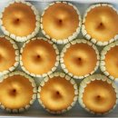 하마 농장 이미지