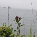 제주 송악산 해안 일제 동굴진지 이미지