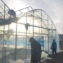 연동2농장 이미지