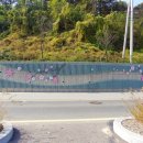 대전관저중학교 이미지