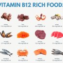 B12 이미지