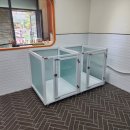 도그런살롱 이미지