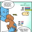 웹툰으로 정리해보는 용맹한 소형견들ㅋㅋㅋ 이미지