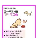 8월의 강아지 이미지