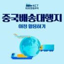 대신사입