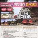 씨제이티