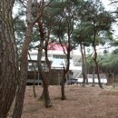 양덕동278 이미지