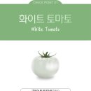 토마토컴퍼니