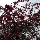 대구여자상업고등학교 이미지