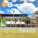 고산초산양분교장 | 제주 한경면 가볼만한곳 예술곶산양