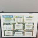 서부대성로 L | 실내테니스] 춘천 유일! 야외 그룹 레슨까지? '워너비 테니스' 선수 출신 코치진의 디테일 코칭 후기 🐶