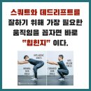 THE 강해짐 이미지