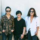 박완규 카카오 검색결과