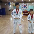 용인대 현대태권도 이미지