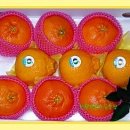 종해농장 이미지