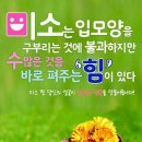 일월산장 Daum카페