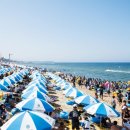 여수바다 이미지