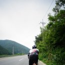 은애숲휴게소 | 만항재 - 석항역/ 수라리재/ 직동고개/ 만항재/ 자미원/ 타임캡슐공원/ 엽기소나무/ 싸가지투어/ 감사...