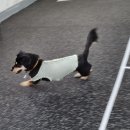 견학생스쿨 이미지