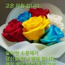화이티 이미지