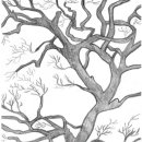 돌머리정미소 이미지