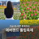 우리들 랜드 | 2026 에버랜드 튤립축제 기간 위치 입장료 할인 주말 후기
