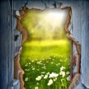 (주)나무 이미지