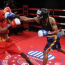 홍복싱(MMA)주짓수 네이버블로그