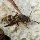 토월약수터 이미지