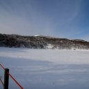 사라의 정원 이미지