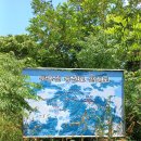 천사의 섬, 신안 자은도 두봉산(363.8m) 이미지