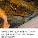 노아의방주