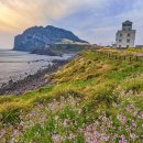 드라이브 이미지