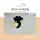 리틀마이펫 이미지