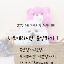 부산 강아지분양 도로시펫 이미지