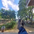 오고가고민박 이미지