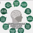 마음심리연구원 이미지