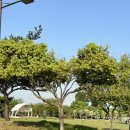 별빛야영장 | 광양 배알도 별빛야영장 비용 &amp; 매점 &amp; 주변 시설 이용 후기