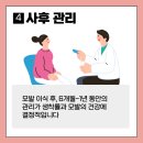 더모헤어플란트 미지예피부과 | 더모헤어플란트미지예피부과의원-광주 서구 치평동
