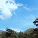 유포리목장 이미지