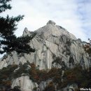 약용식물관리사 Daum카페