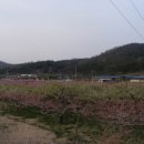 계전1리 이미지