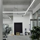 베리 핏 피티 이미지