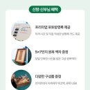 데이포토 이미지