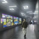 롯데타워 | 쿠팡 트래블 보상 쿠폰 사용방법 "서울 스카이 롯데타워 전망대" 다녀온 후기