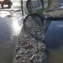 섬마을민박 이미지