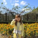 심곡 태권도장 이미지