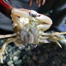 방어진방파제화장실 이미지